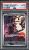 Team Rocket'S Mimikyu