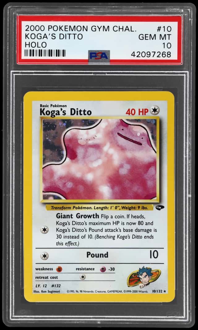 Koga's Ditto