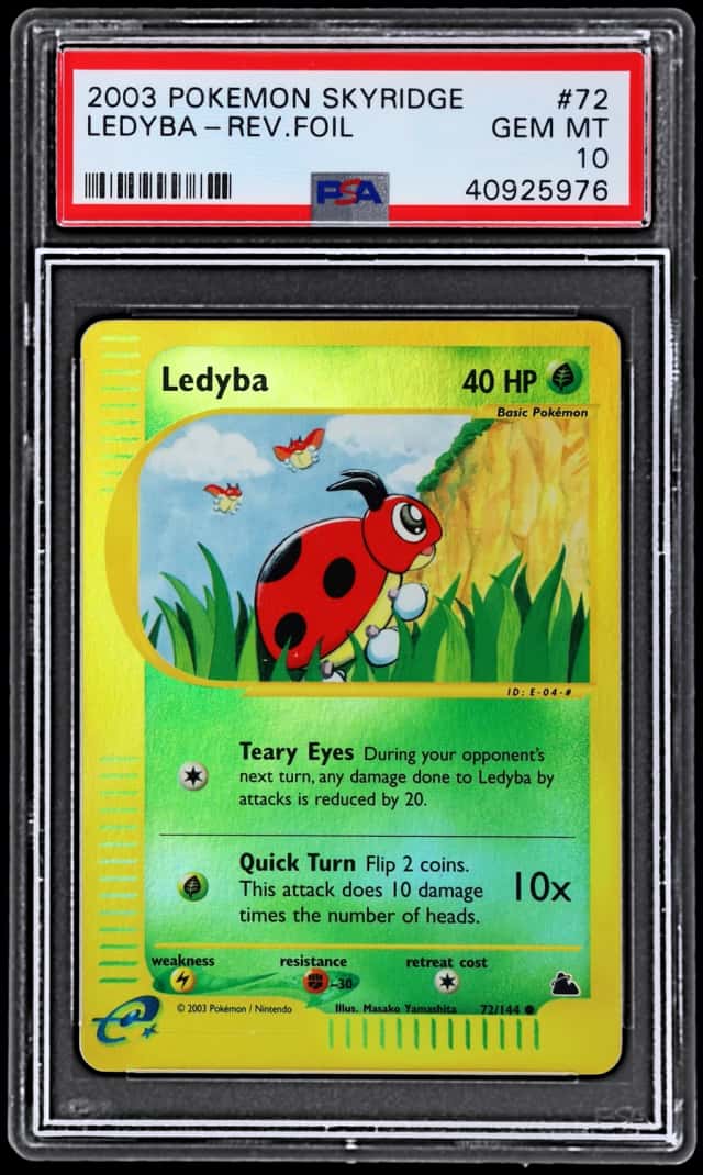 Ledyba