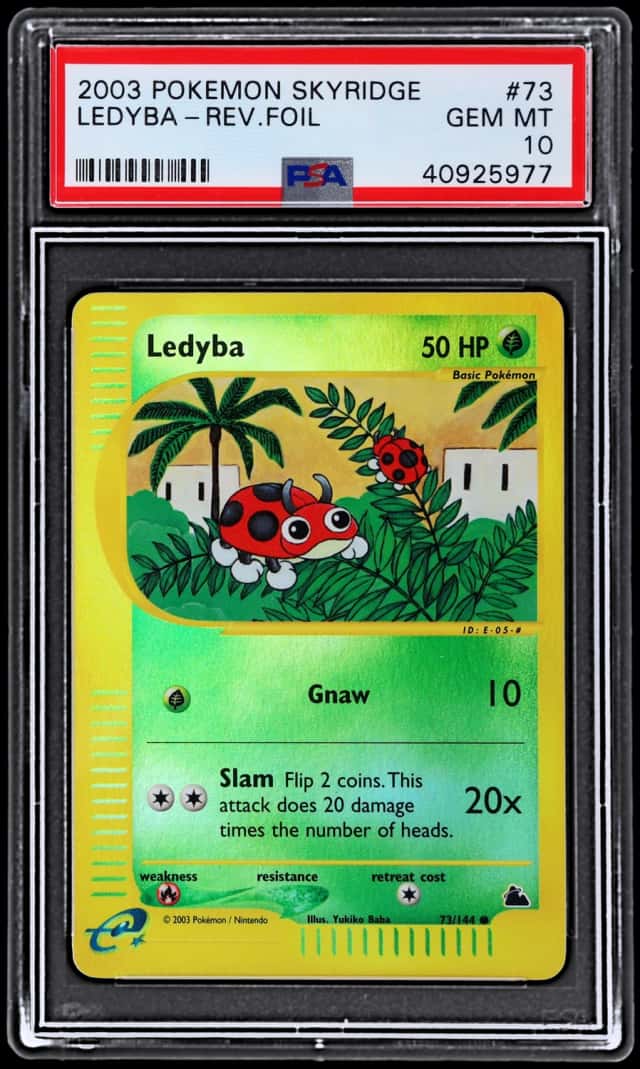 Ledyba
