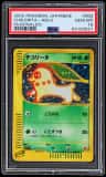 Chikorita
