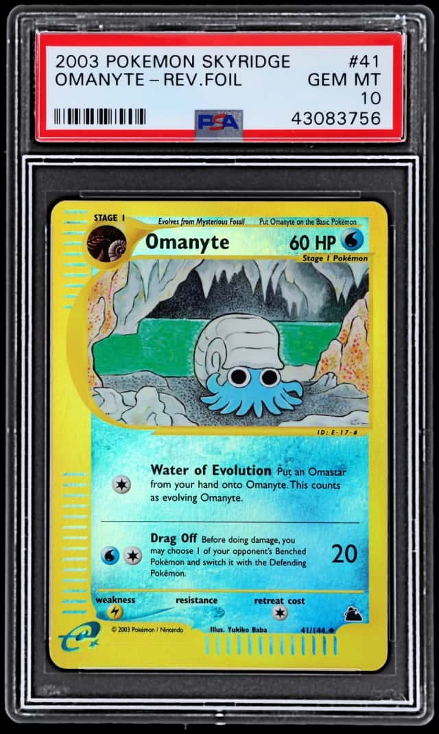 Omanyte