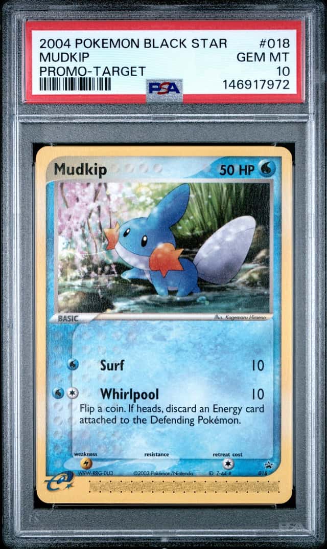Mudkip