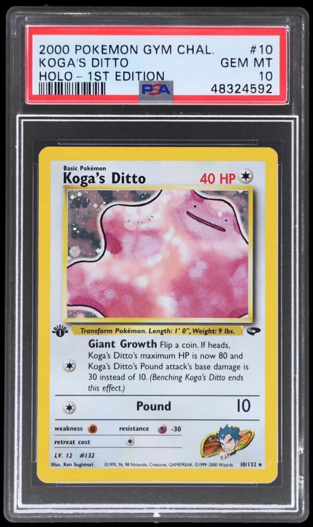 Koga's Ditto