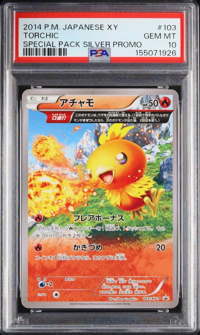 Torchic
