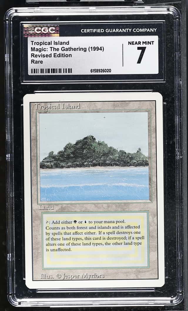 Tropical Island