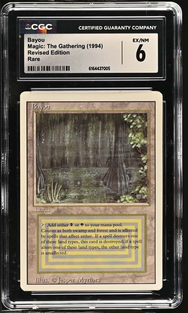 Bayou