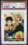 Sanji/videl