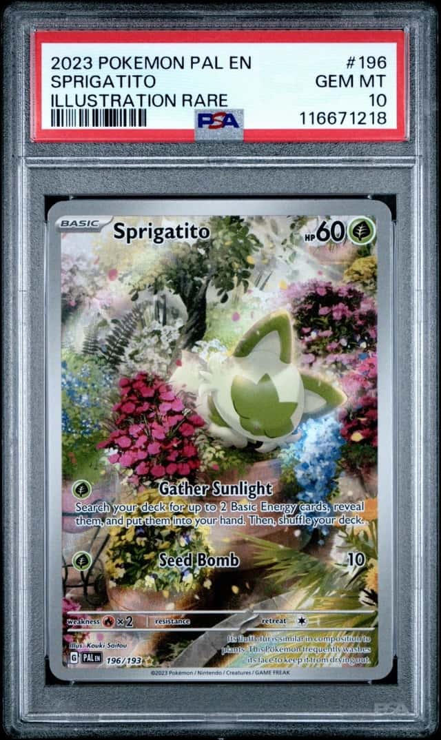 Sprigatito