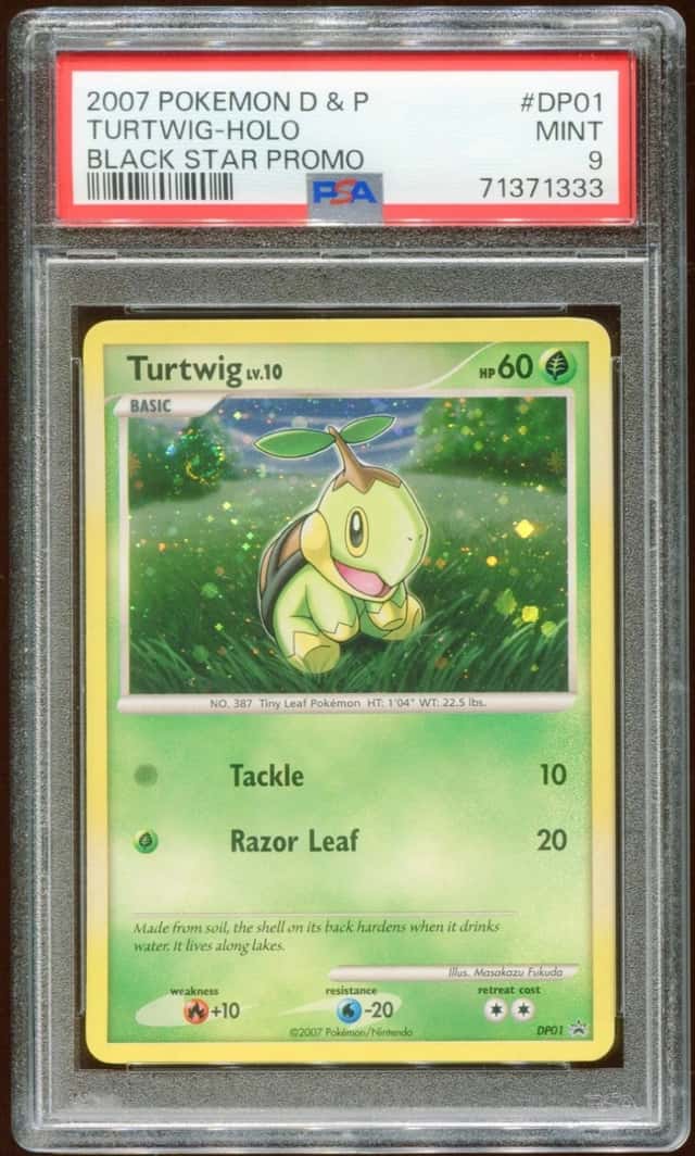 Turtwig