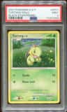 Turtwig