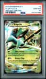 Sceptile Ex