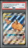 Raichu & Alolan Raichu Gx