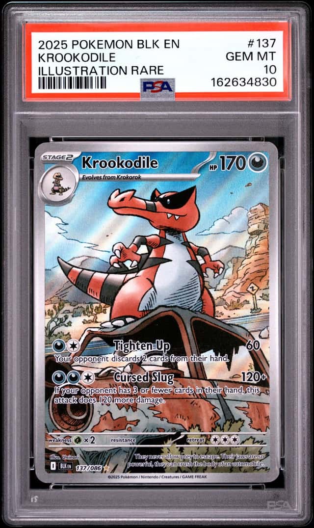 Krookodile