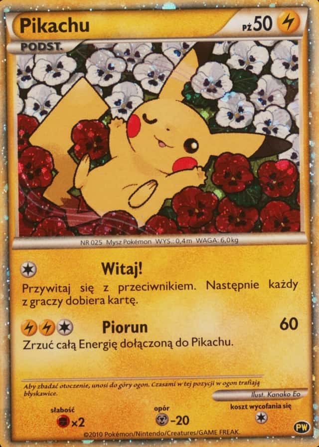 World Collection · Polish