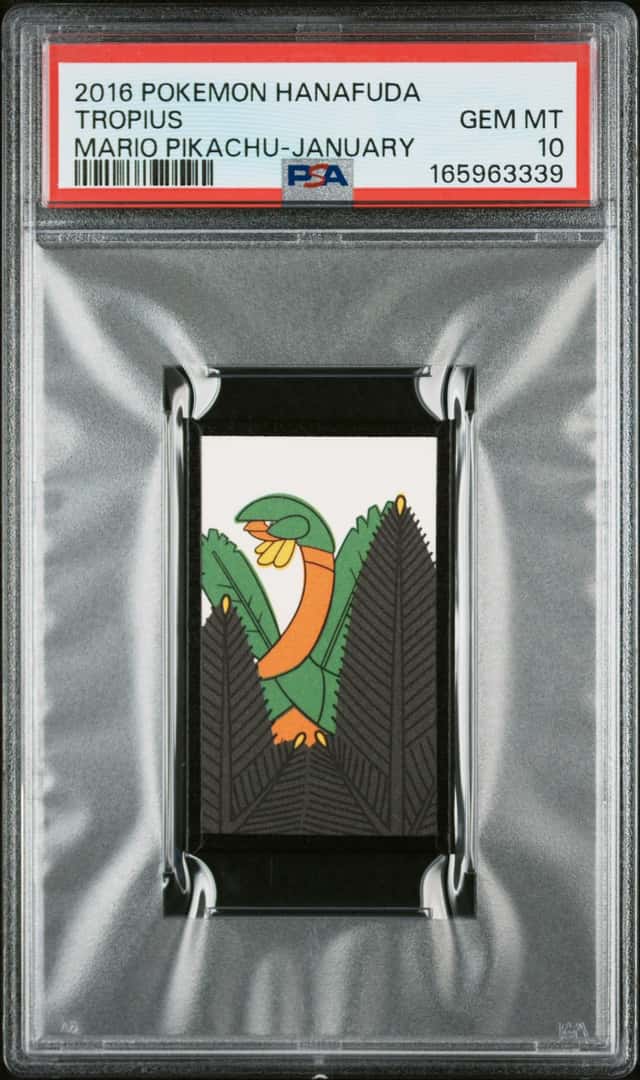 Tropius