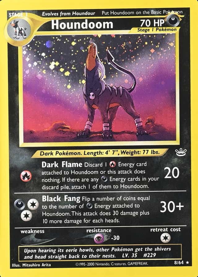 Holo