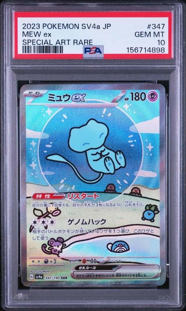 MEW ex