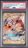 Raichu & Alolan Raichu Gx