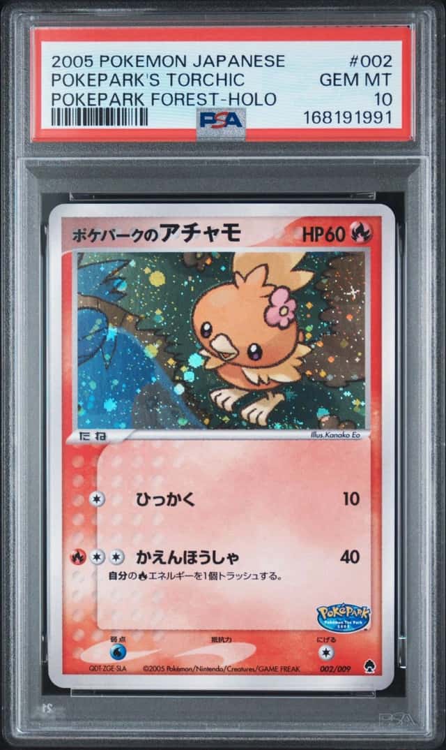 Pokepark's Torchic