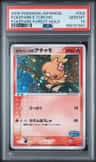 Pokepark'S Torchic