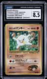 Brock'S Mankey