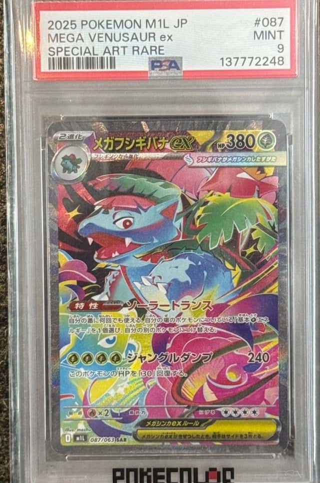 MEGA VENUSAUR ex