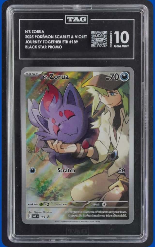 N's Zorua