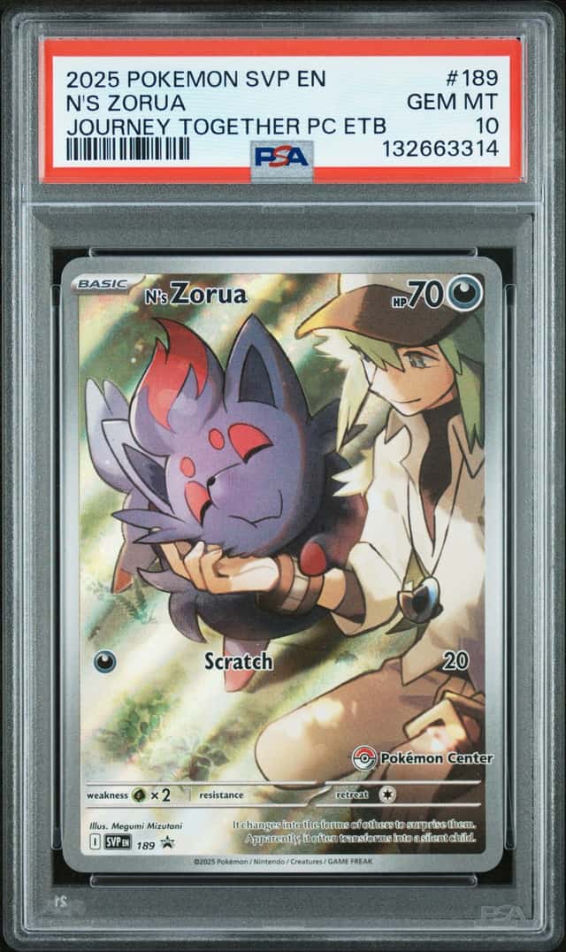 N's Zorua
