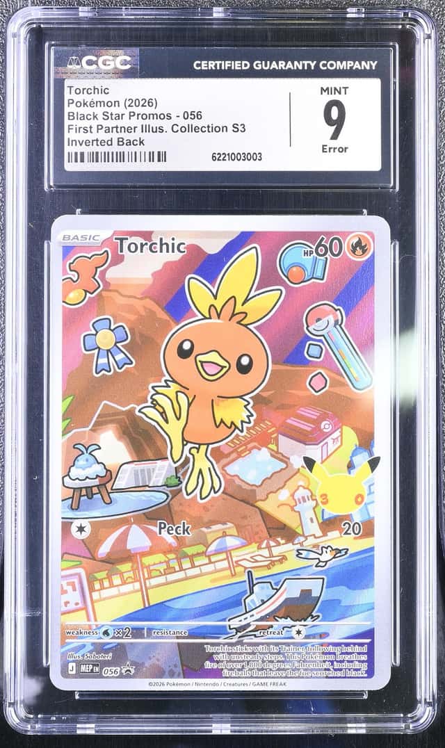 Torchic