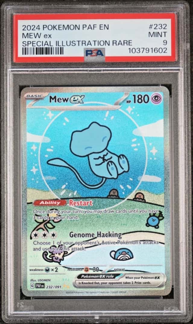 MEW ex