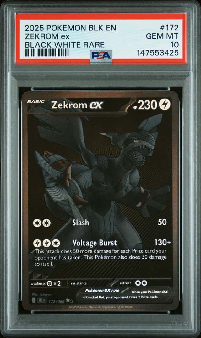 ZEKROM ex