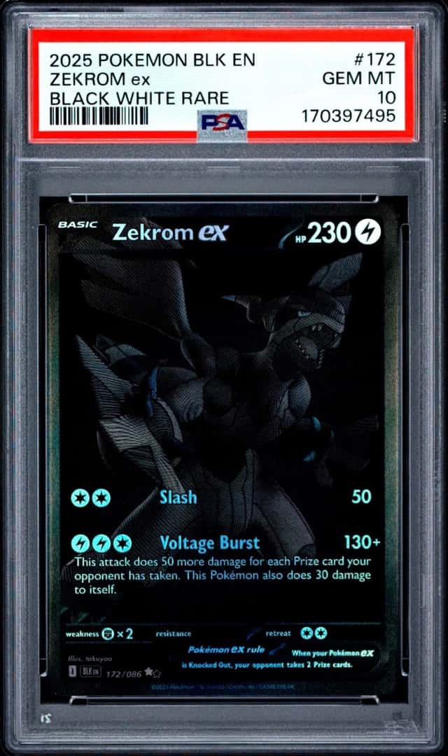 2025 POKEMON ZEKROM ex BLACK WHITE RARE BLACK BOLT #172 PSA 10