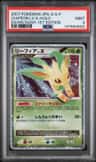 Leafeon Lv X