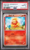 Torchic