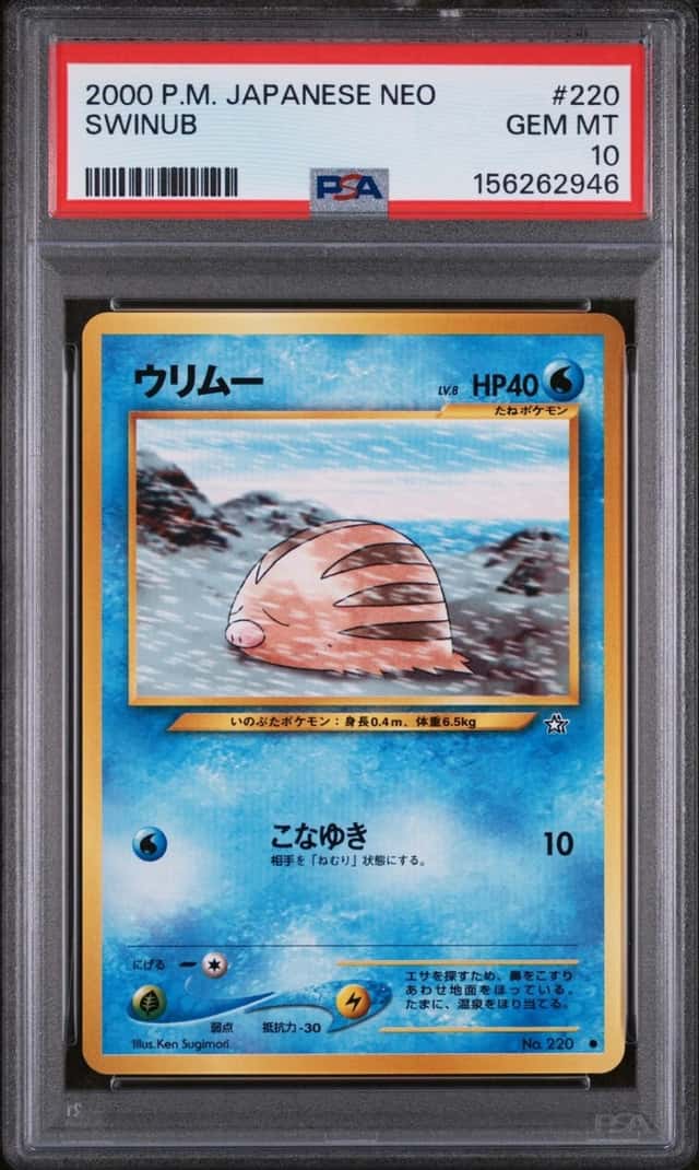 Swinub
