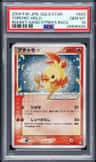 Torchic