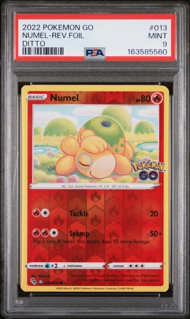 Numel (Ditto)