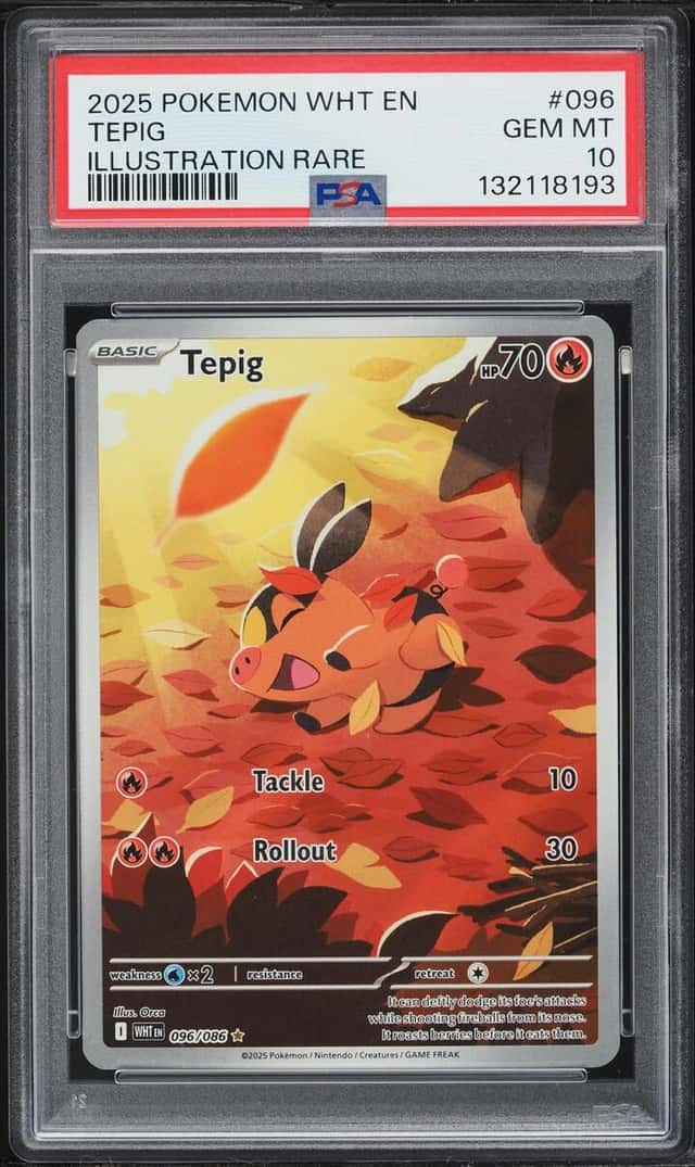 Tepig