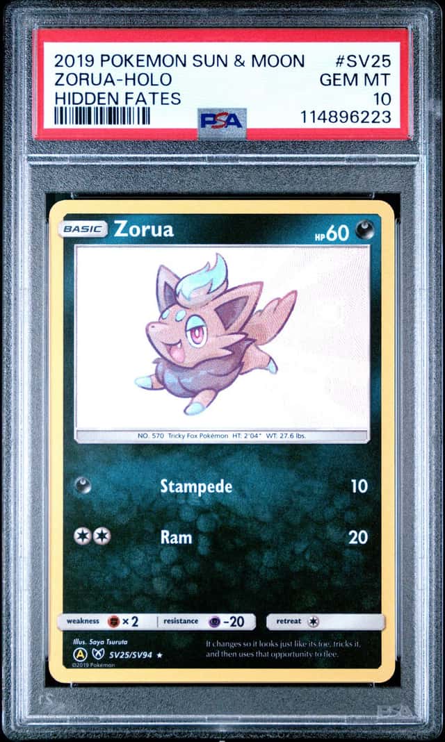 Zorua