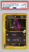 Pryce'S Sneasel