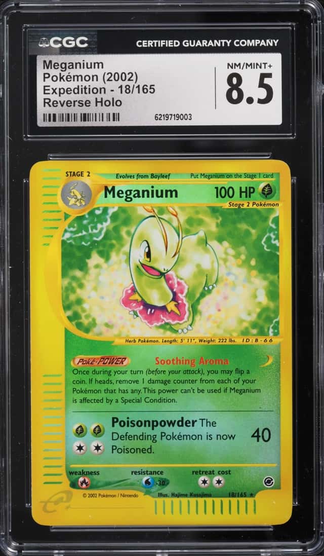 Meganium
