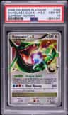 Rayquaza C Lv X