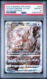 Hisuian Zoroark Vstar