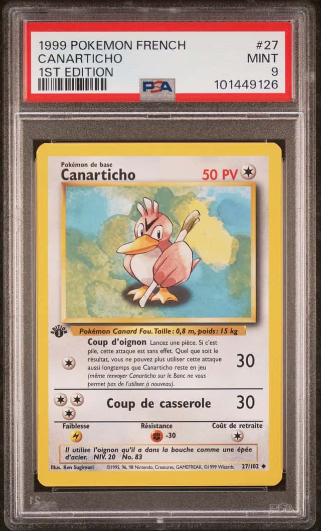 Canarticho
