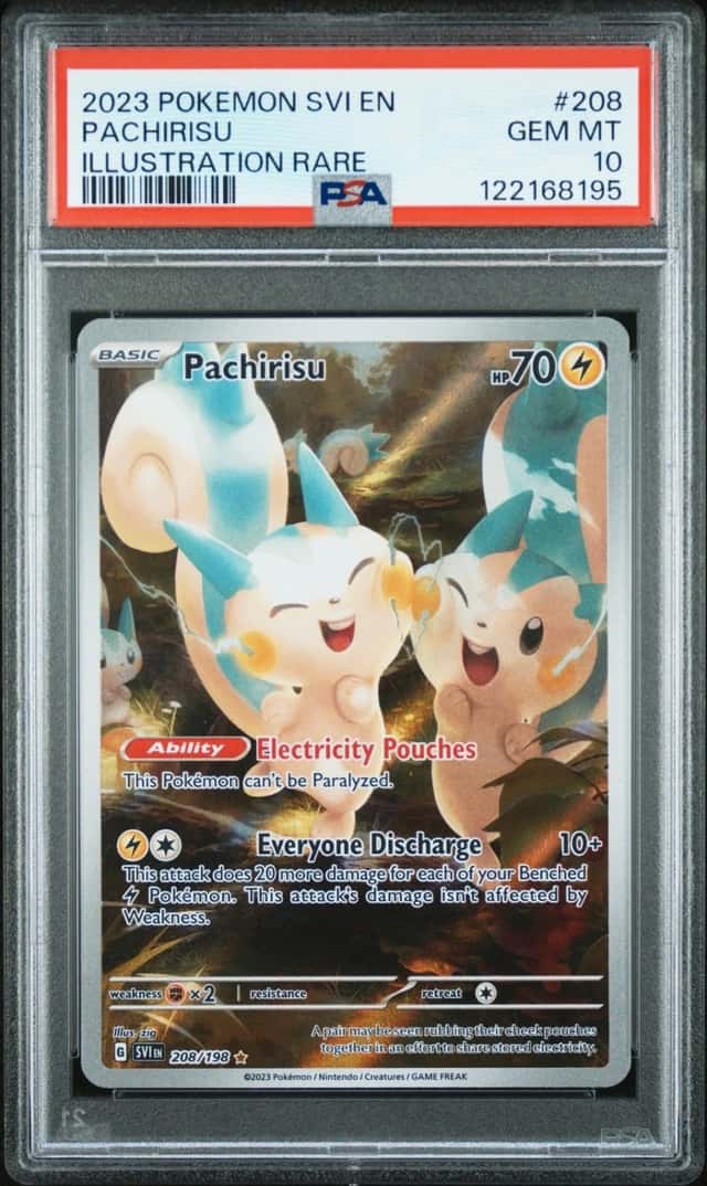 Pachirisu 208 Illustration Rare Svi En-Scarlet & Violet Pokemon PSA 10