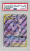 Mewtwo & Mew Gx