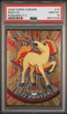 Ponyta