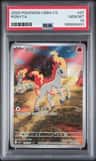 Ponyta