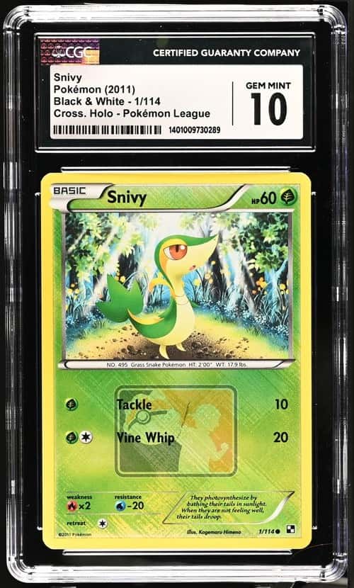 Snivy